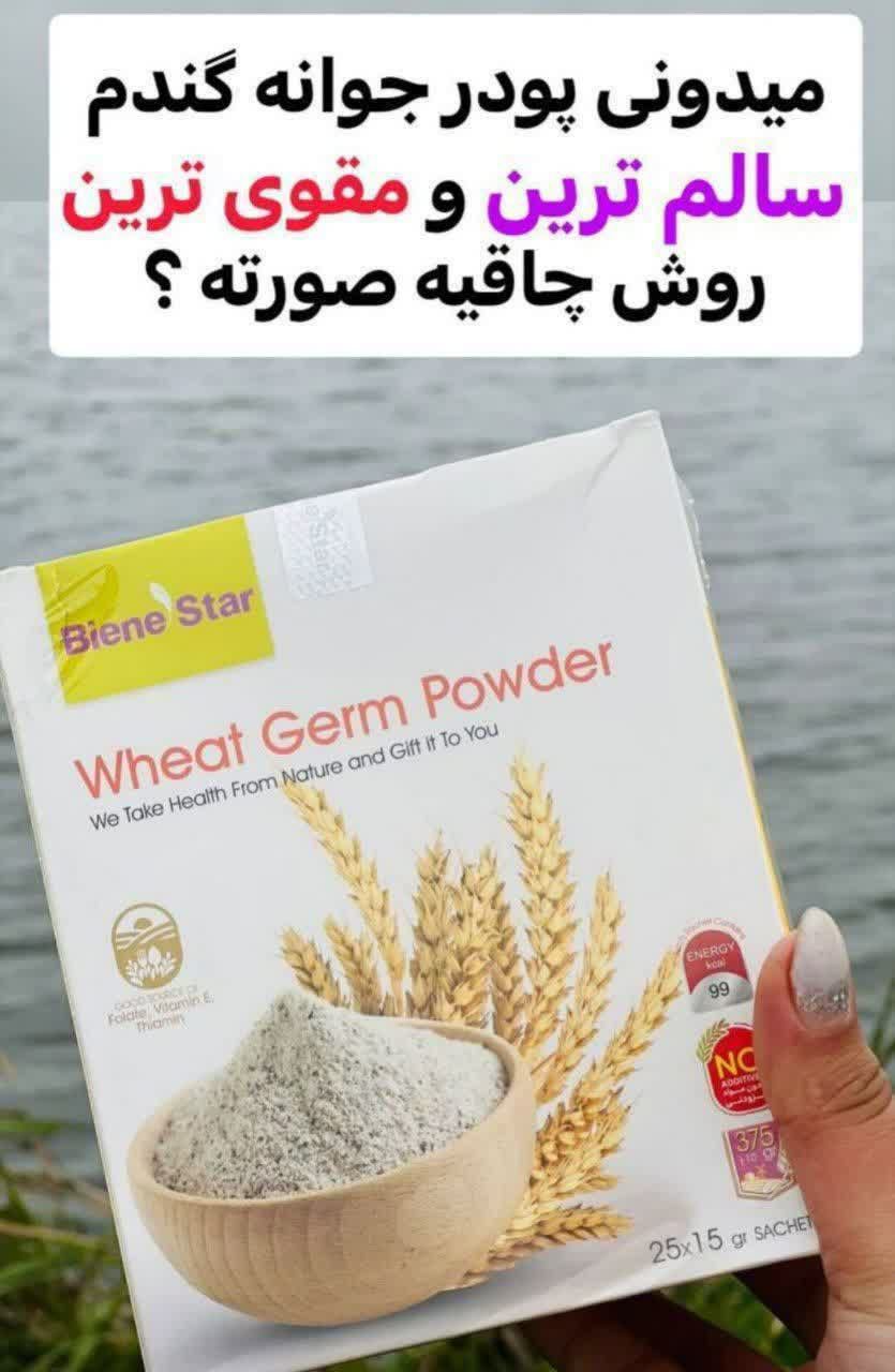 جوانه گندم بین استار دکتر بیز(چاق کننده و گونه گذار صورت)