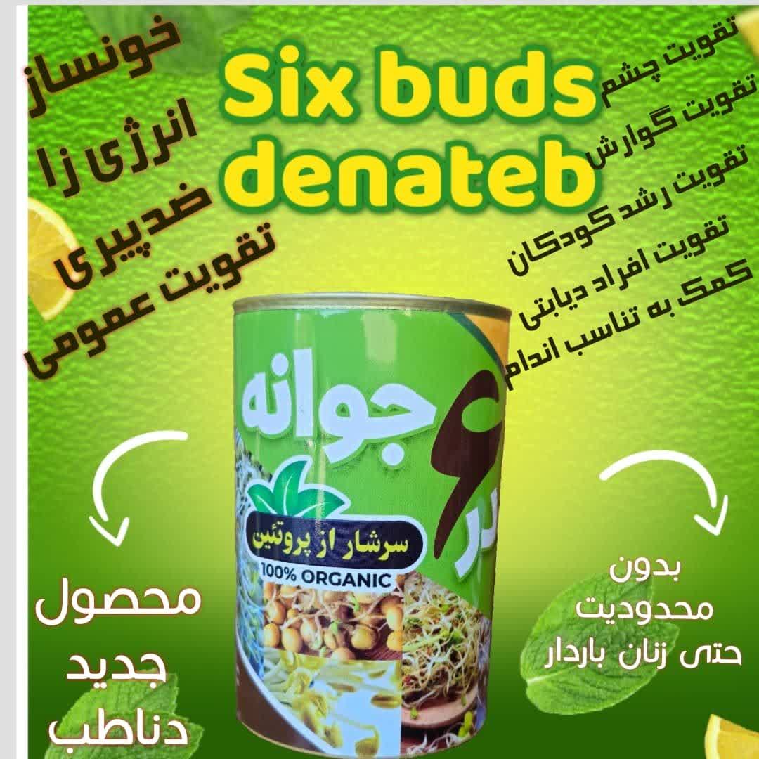 پودر تقویتی ۶ جوانه خالص و درجه یک مناسب همه افراد